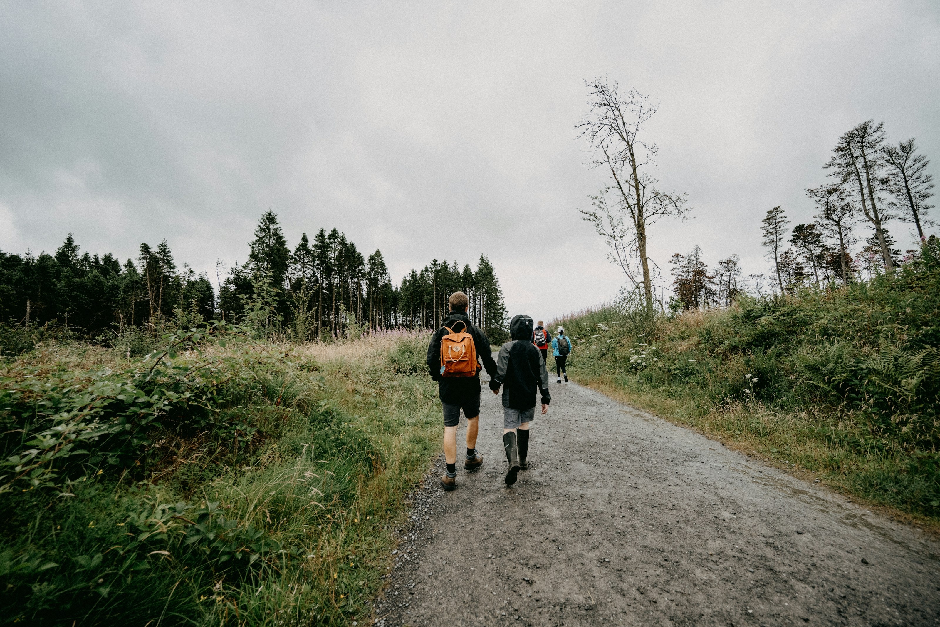 An adult and a child walking hand in hand along a woodland track, seen from behind